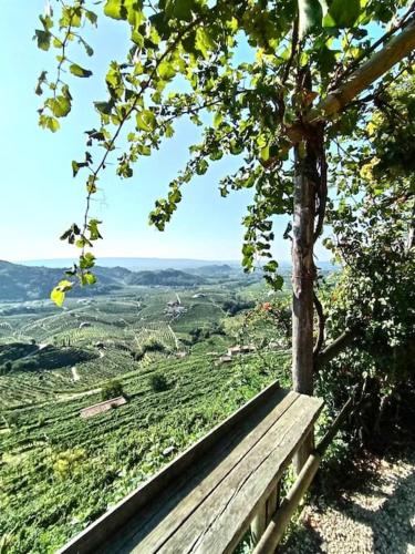 a wooden bench sitting on top of a hill at Relax nelle colline del Prosecco in Pederobba