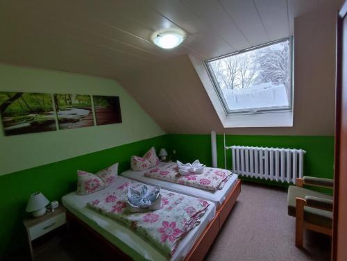 two beds in a green room with a window at Haus Wiesenbaude in Bärenstein