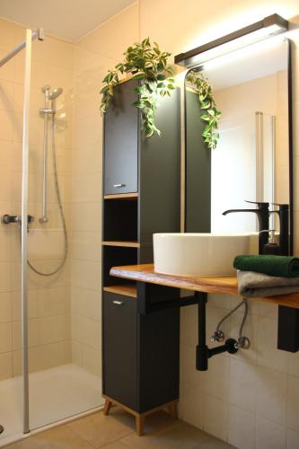 ein Bad mit einem Waschbecken und einer Dusche in der Unterkunft Allgäu Retreat in Bad Wörishofen