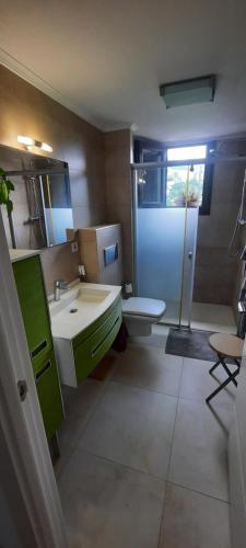 a bathroom with a sink and a toilet and a shower at Abeletxe in Marquina