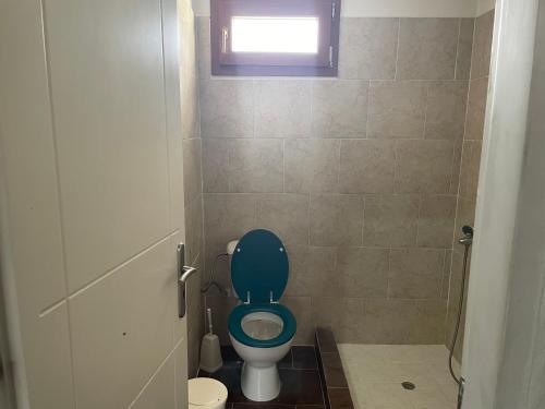 a bathroom with a blue toilet and a window at Villa Olympus 