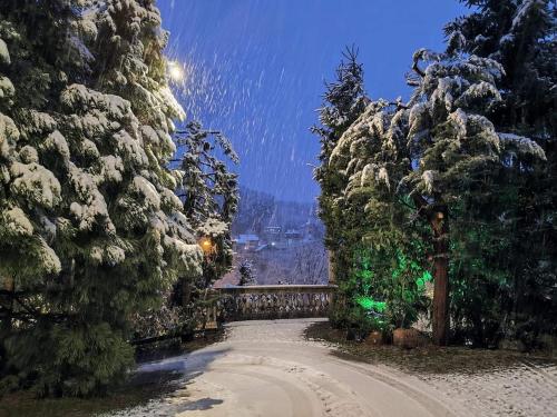 a snow covered path between two large trees at Park Hotel Amfora -Free Parking in Sofia