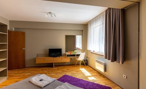 TV a/nebo společenská místnost v ubytování N.Joy Holiday Apartment 413 by Sunny Hills