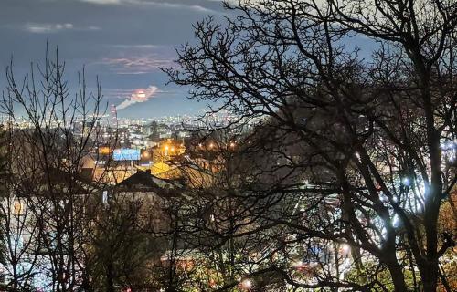 a view of a city from behind some trees at Park Hotel Amfora -Free Parking in Sofia