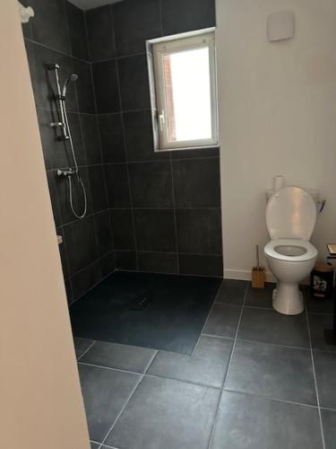 a bathroom with a toilet and a shower with a window at Les 100 Ciels Font-Romeu in Font Romeu Odeillo Via