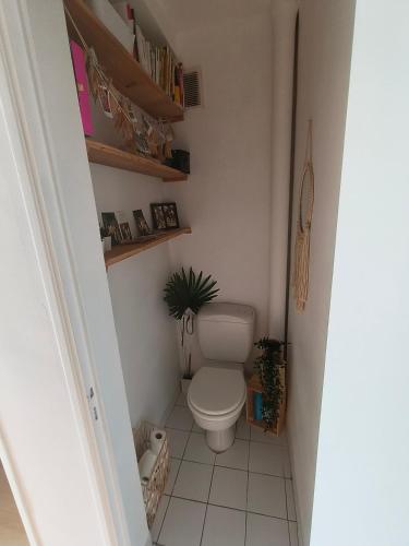 Appartement Mourillon Toulon