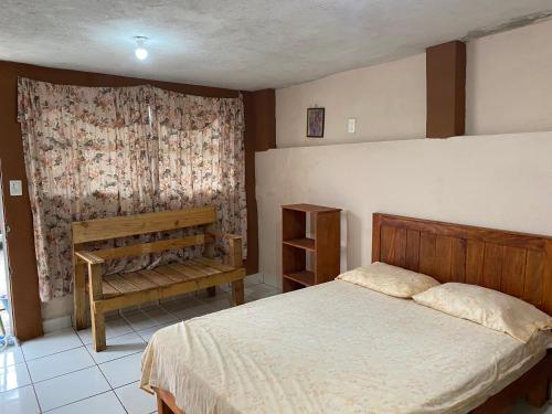 1 dormitorio con cama y ventana con cortina en Departamento Foráneo 1, en Concepción