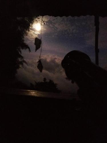 a person is looking at the moon in the sky at Sierra de viboral adventures in Medellín
