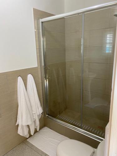 łazienka z prysznicem, toaletą i ręcznikami w obiekcie Studio flat w mieście Montego Bay