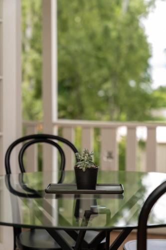a potted plant sitting on a glass table on a porch at Loft Ninety Three - Stylish & Central in Orange