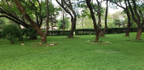 a group of trees in a field with green grass at Boma Park Outdoor Event Space in Nairobi