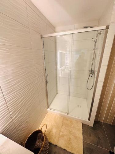 une douche avec une porte vitrée dans une salle de bain dans l'établissement Superbe maison à proximité du centre de Strasbourg, à Bischheim