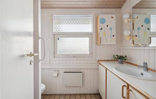 een badkamer met een wastafel en een raam bij 3 Bedroom Awesome Home In Gilleleje in Gilleleje
