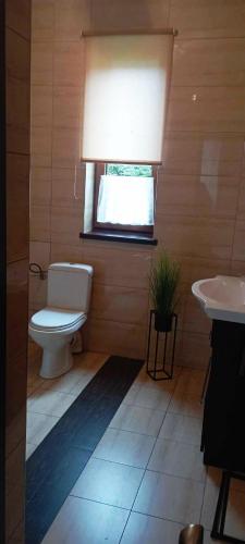 a bathroom with a toilet and a sink and a window at Oaza Huzele in Hużele