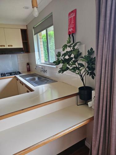 una cocina con una maceta en un mostrador en Dar Rahah, en Orange