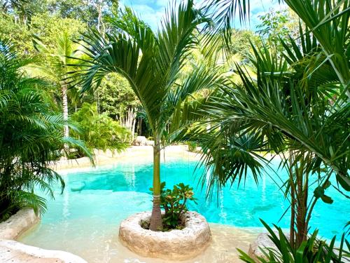 Gallery image of Glamping Bunga Lotus in Tulum