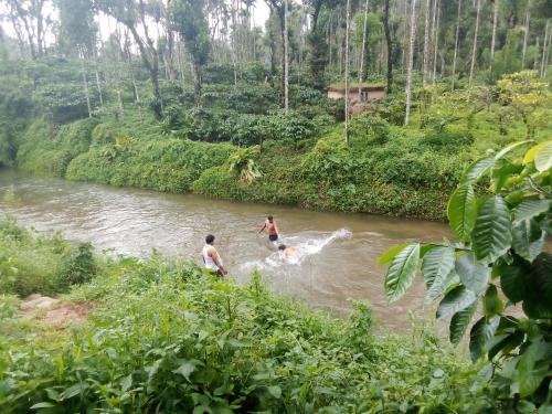 dos hombres en un río en un bosque en River View Guest Rooms, en Vythiri