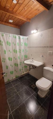 a bathroom with a toilet and a sink at Alojamiento marluz in Trelew