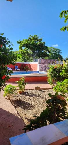 a garden with some plants and trees and a building at Villa KIKI Ensenada in Punta Rucia