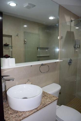 a bathroom with a sink and a toilet and a shower at Acogedor y hermoso depto, en el C.Historico CDMX in Mexico City
