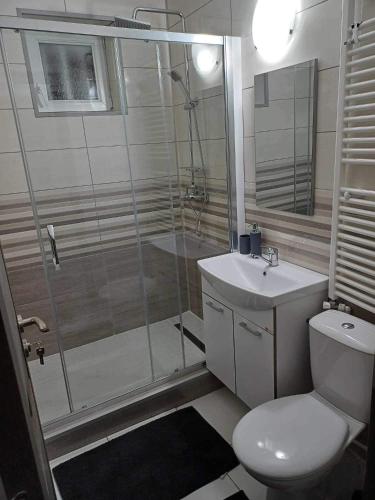 a bathroom with a shower and a toilet and a sink at Pleasure Palace in Sovata