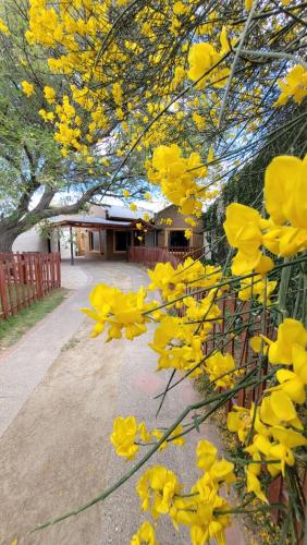 El Patio del Aromo – Photos 4