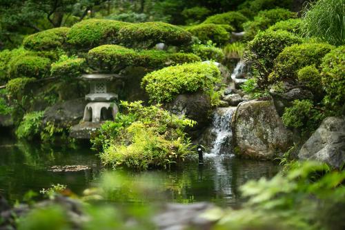 a bird in a pond in a garden with a waterfall at 川魚・山菜料理　和田屋 in Hakusan