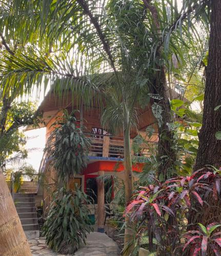 a house with trees and plants in front of it at Hotel Quilas in Huichihuayán