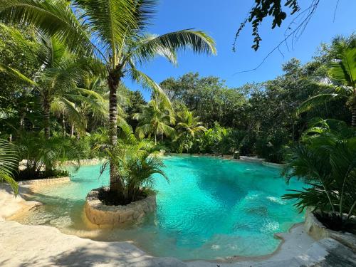 a swimming pool with a palm tree in the middle at Bunga Lotus Glamping - Otoch Nacom in Tulum