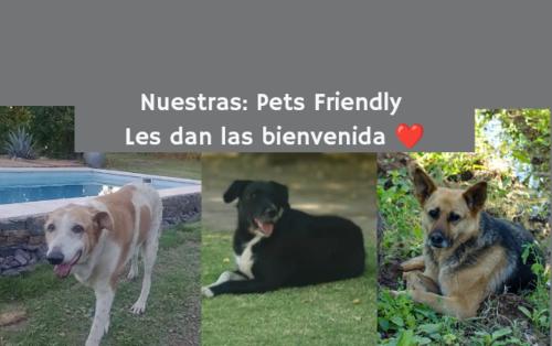 Finca Mula – Photos 2