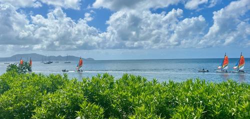 a group of sailboats in the ocean on the water at LA PLAGE MARTINIQUE in Schœlcher