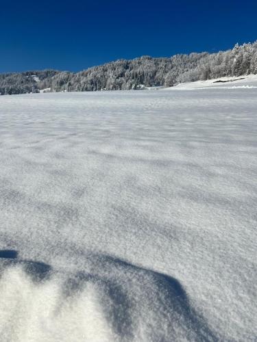 Panorama Appartements