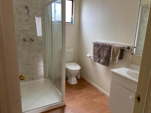 een badkamer met een douche, een toilet en een wastafel bij Mansfield Lakeside Caravan Park in Mansfield