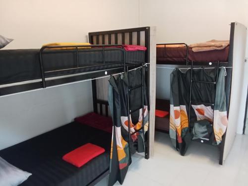 two bunk beds are in a room at Tiki Tribe Bar & Hostel in Ko Tao