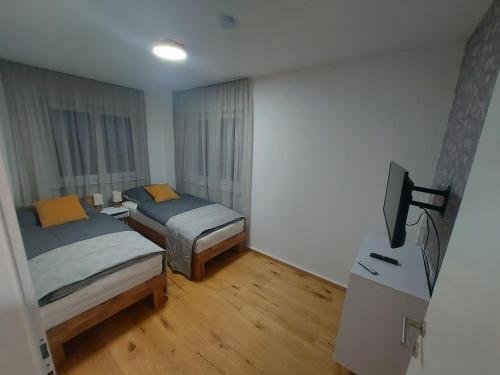 a room with two beds and a television in it at Unicorn Apartment in Nüziders