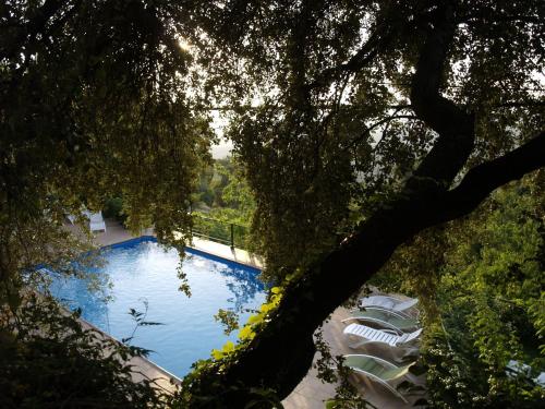 an overhead view of a swimming pool under a tree at Apartamentos Arroyo Parrilla in La Iruela