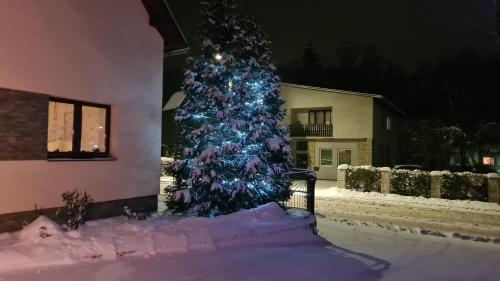 a christmas tree covered in snow in front of a house at Apartmán Malá Valaška in Ratiboř