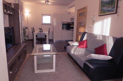 Μια τηλεόραση ή/και κέντρο ψυχαγωγίας στο Apartmani Jastreb