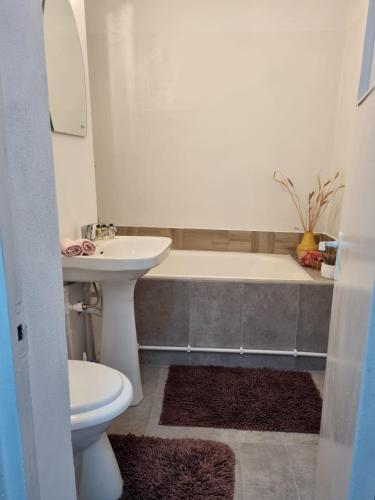 bagno con vasca, lavandino e servizi igienici di Apartament cu o camera a Hunedoara