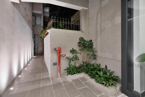 a hallway with a red fire hydrant and plants at The Galaxy Home Doi Can Hotel and Apartment in Hanoi