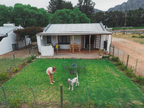 Vindoux Tree House Guest Farm & Spa – Photos 4