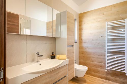 a bathroom with a sink and a toilet at VILLA ISTRA in Kaštelir