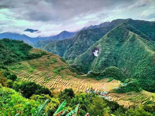 a view of a mountain with terraced fields and trees at Batad Viewpoints Guesthouse and Restaurants in Banaue