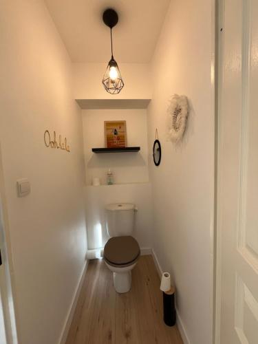 a bathroom with a toilet in a room at Aux roches d'Or in Roques Sur Garonne