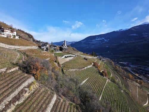 une vue aérienne sur un vignoble sur une colline dans l'établissement Pitzoler Hof, à Albes