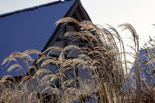 a tall blades of grass in front of a building at Lotsenstieg 05 in Ostseebad Karlshagen