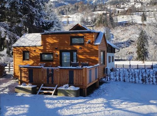 Tiny House Waldschmied 1
