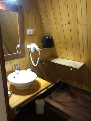 a wooden bathroom with a sink and a mirror at Les Jonquilles in Les Angles