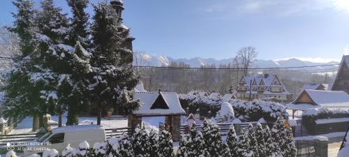a snow covered yard with a house and a tree at Willa Wiktoria 2 in Zakopane