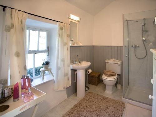 a bathroom with a sink and a toilet and a shower at 1 Bed in Kentmere LCC49 in Kentmere